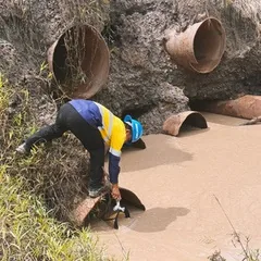 Dokumentasi kegiatan lapangan